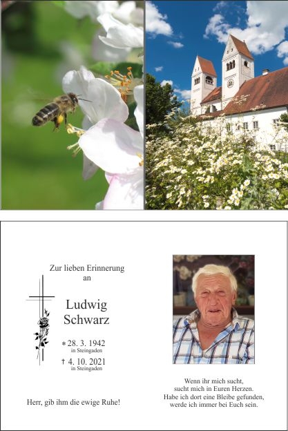 Ludwig Schwarz