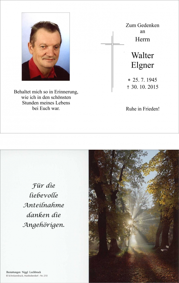 Walter Elgner