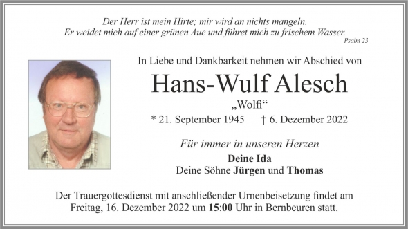 Hans-Wulf Alesch